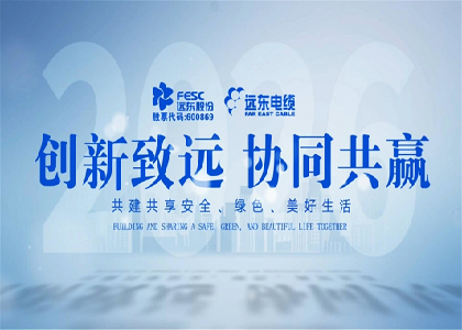 遠東股份電纜產(chǎn)業(yè)新產(chǎn)品發(fā)布會